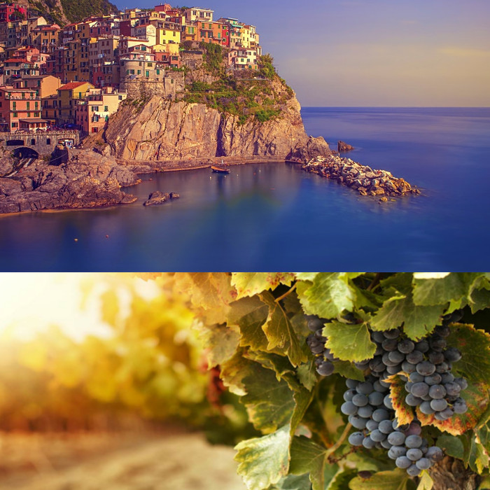 26-Tuscany-cinqueterre-wine-olive-tour